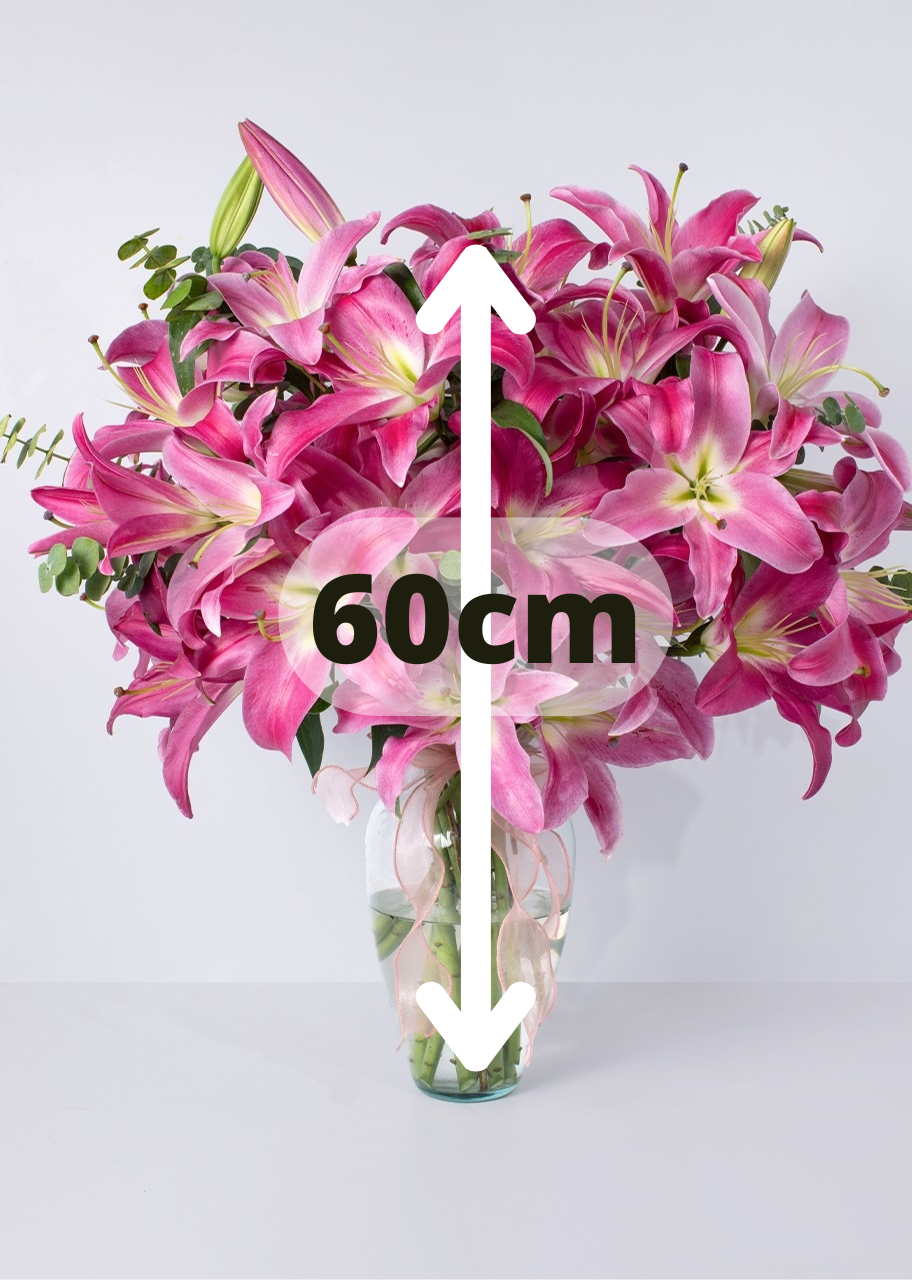 10 stargazer rosas en jarrón