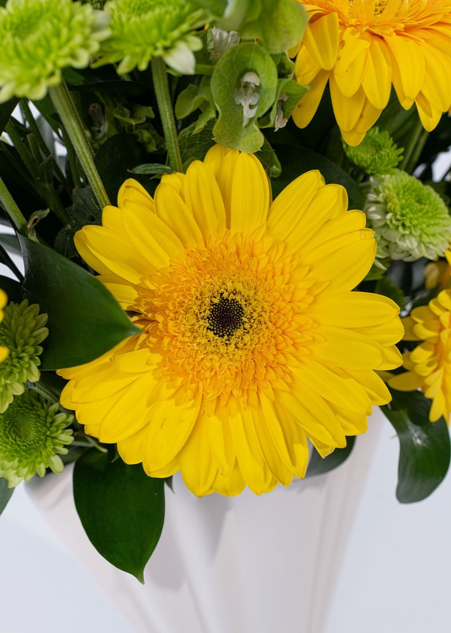 6 gerberas amarillas en jarrón