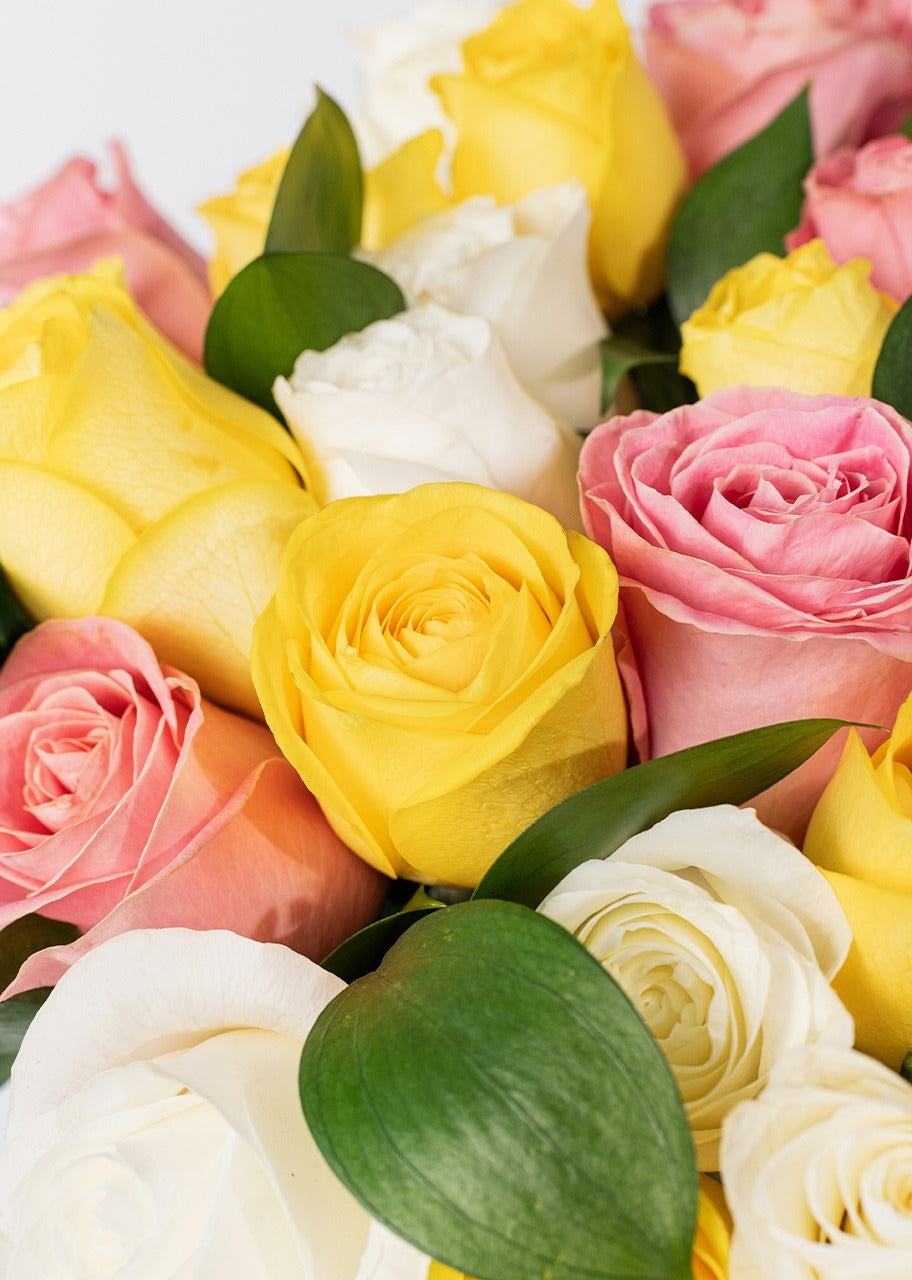 50 rosas amarillas y blancas en jarrón