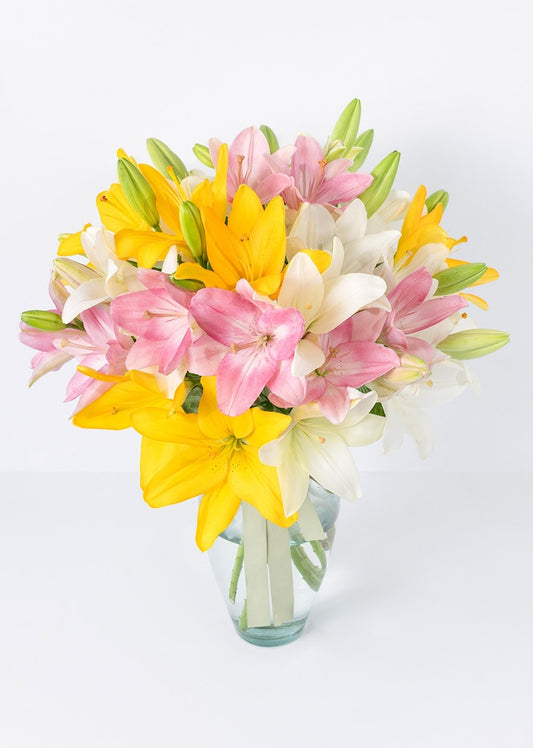 15 lilys coloridas en jarrón