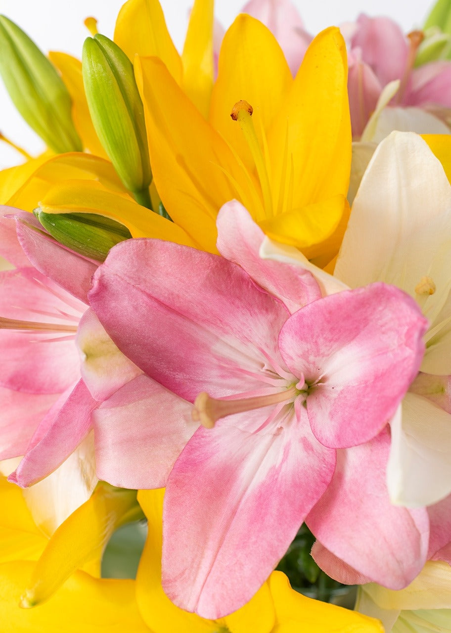 15 lilys coloridas en jarrón