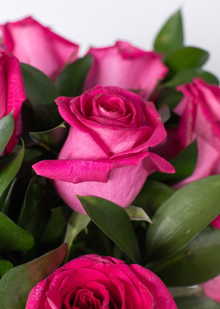 12 rosas fucsia en jarrón