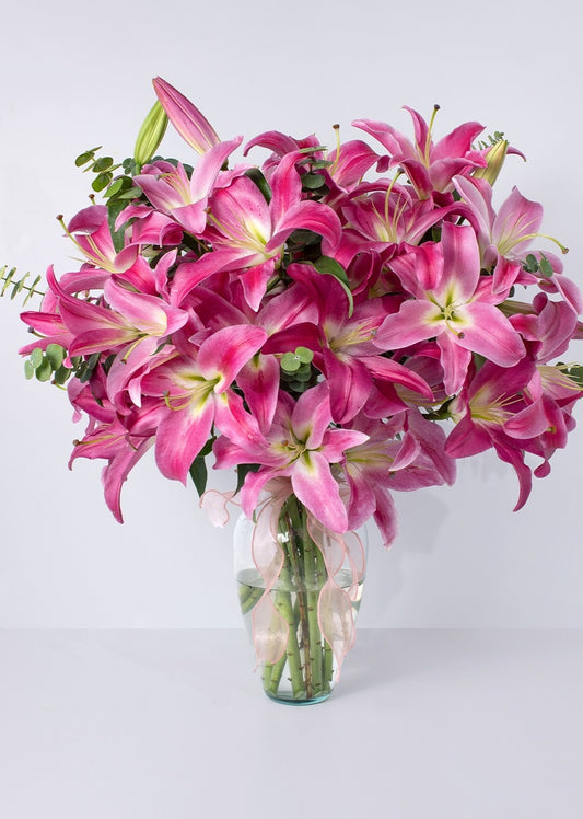 10 stargazer rosas en jarrón