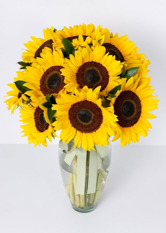 15 girasoles en jarrón