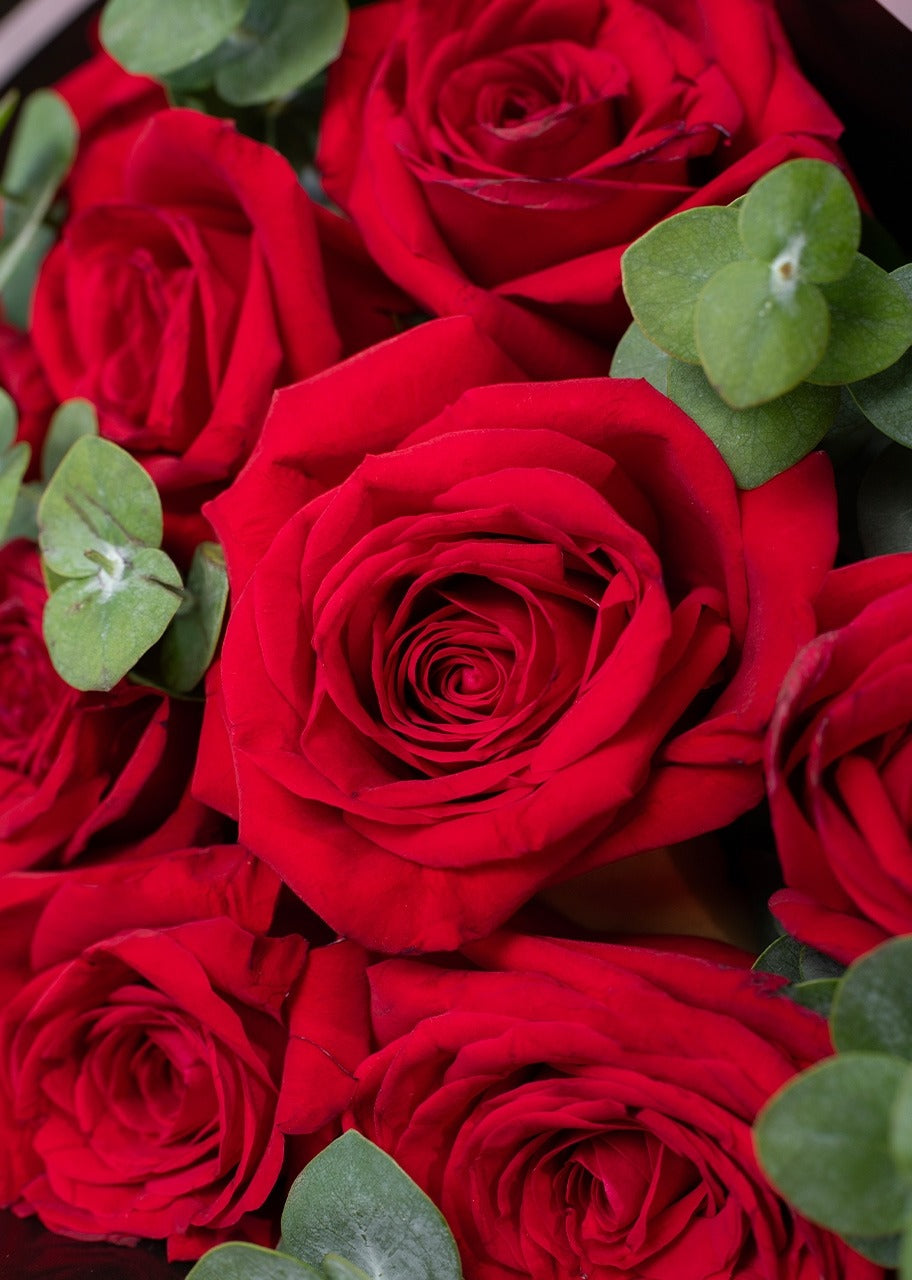 Ramo de 12 rosas rojas