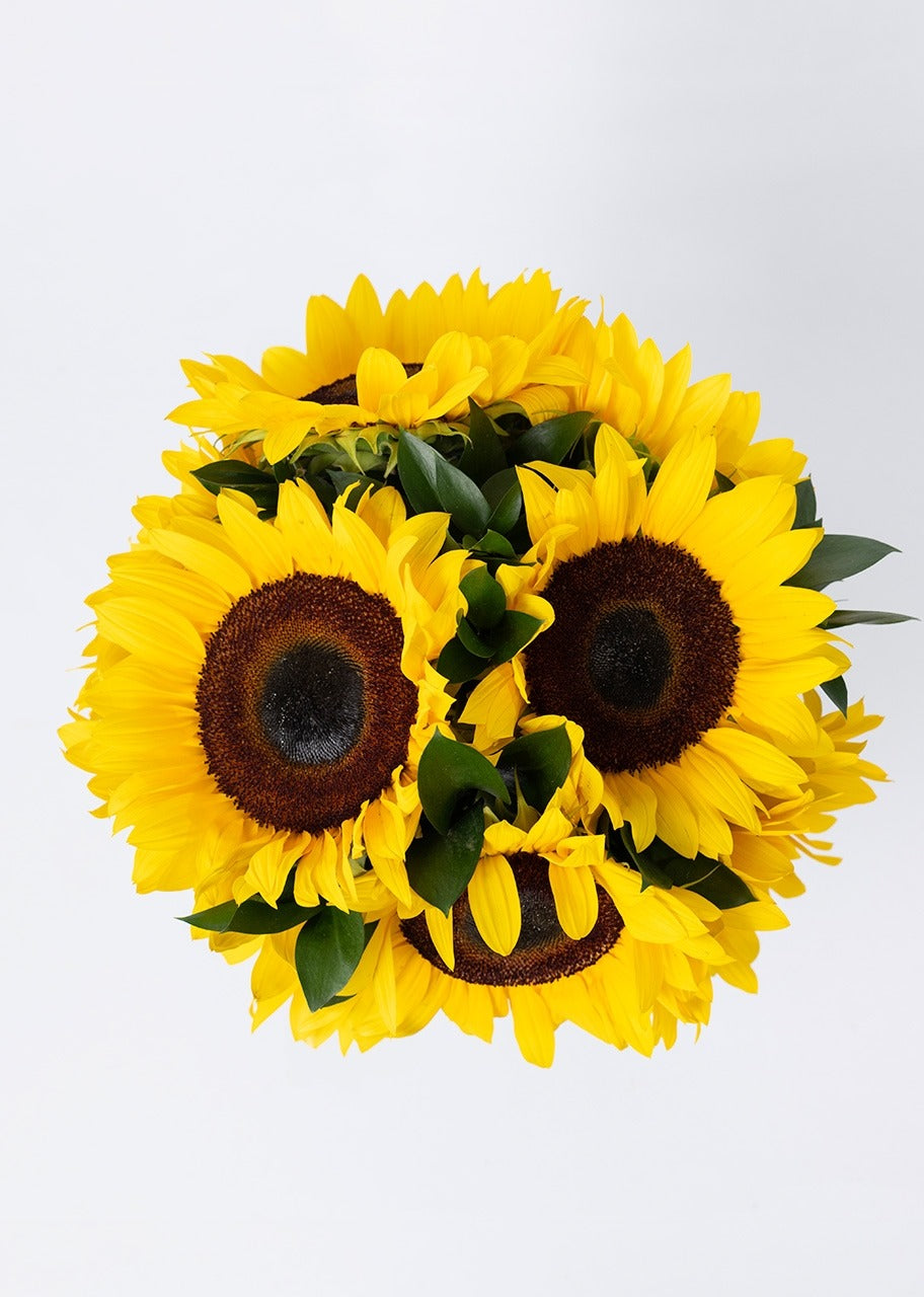 Ramo de 8 girasoles