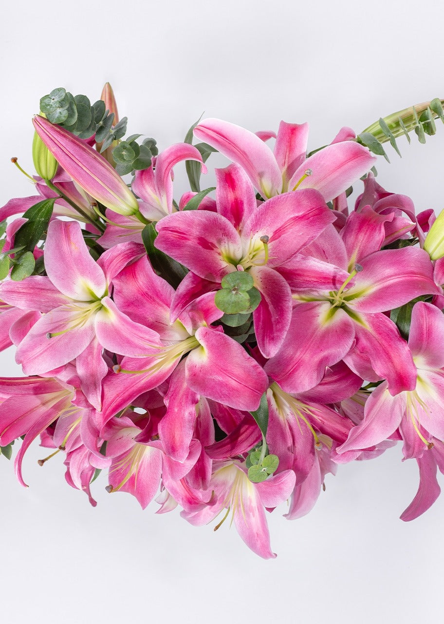 Ramo de stargazer rosa