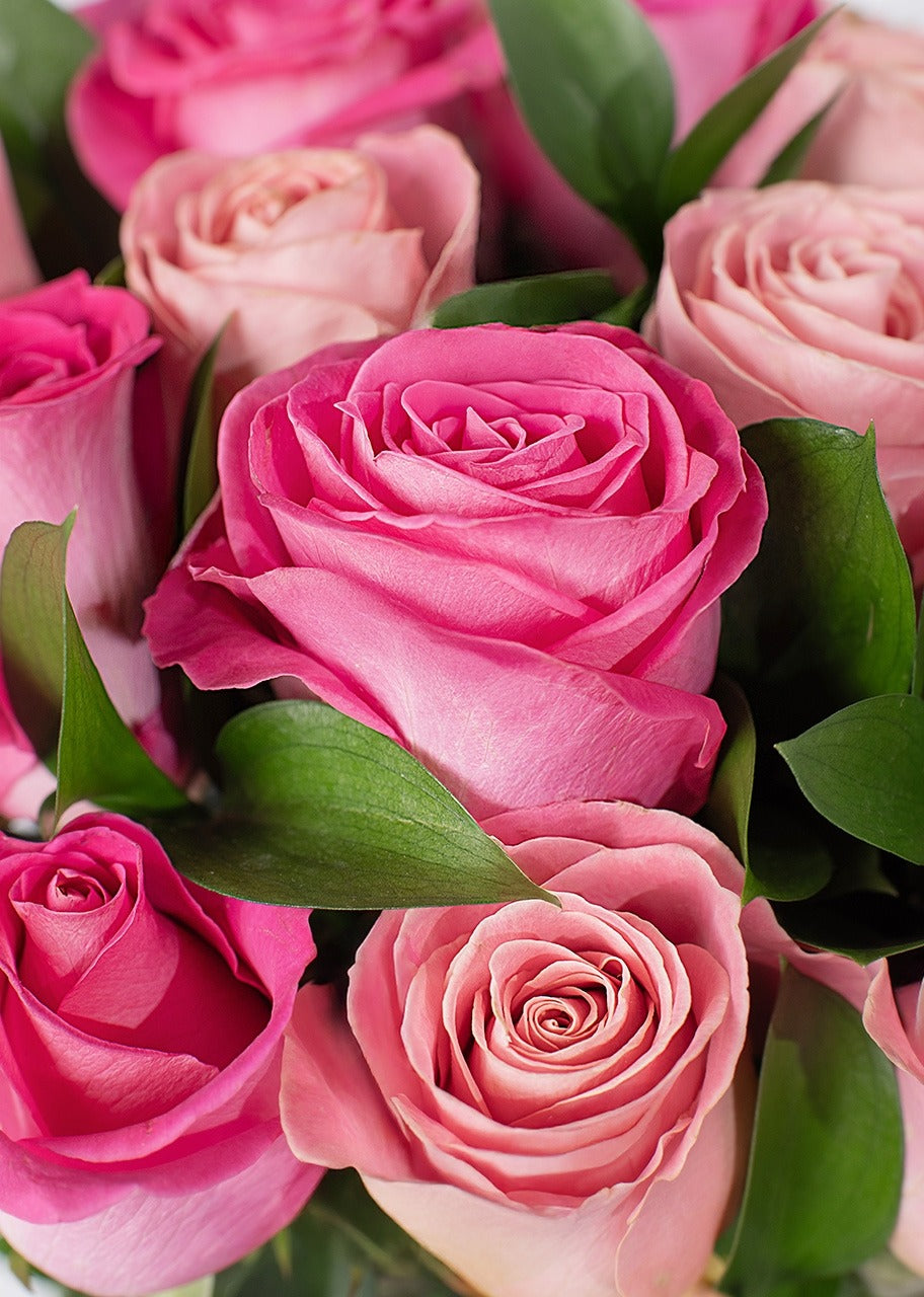 24 rosas rosas y hermosas en jarrón